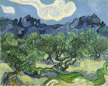 Vincent Van Gogh Zeytin Ağaçları Serisi Hikayesi Anlamı Nedir?